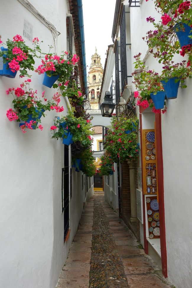 ついでに誰もいない花の小径へ。<br />朝一番じゃないと中々人の入らない写真は無理かと思う。