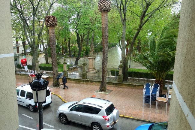 ホテルの部屋からは公園ビュー。ただこの時、大雨に風が強く<br />前に見える公園のヤシの木は枝が折れそうなぐらいなびいていた。<br />この風では傘も差せないため、暫くホテルで待機する事に。