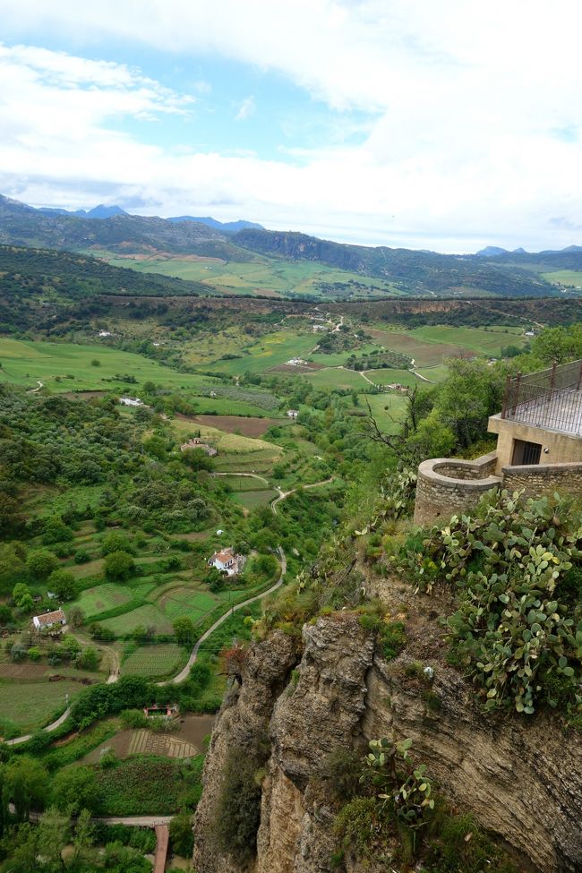 先ほどの大雨とは打って変わって、青空が顔を出した〜。