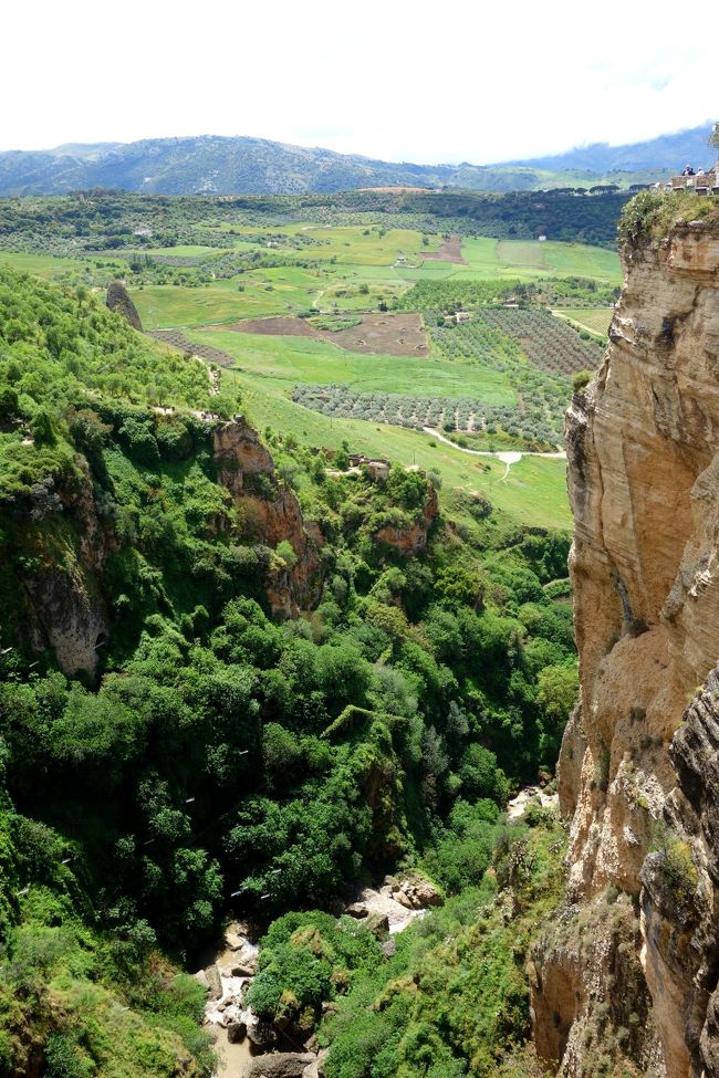 左手の岩には下へ降りるトレイルが見える。<br />相棒は昼寝をしたせいか元気はつらつ。<br />相棒の調子が良さそうなので、ハイキングする事に決まり！