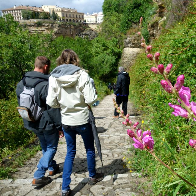 ヌエボ橋の下へ降りられる道を見つけました。行きはただ下るのみ、帰りが怖い。