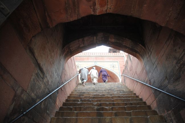 この急階段を登ります。