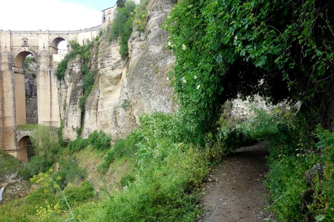 一つ目の展望台からまだ下へ行ってみます。段々道がワイルドになってきた。