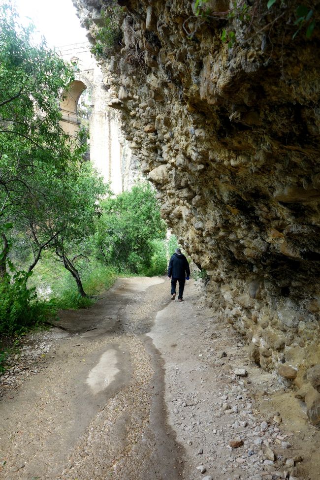 ゴロゴロした石が多く、雨のせいでぬかるんでいる所も多く、歩きにくい。