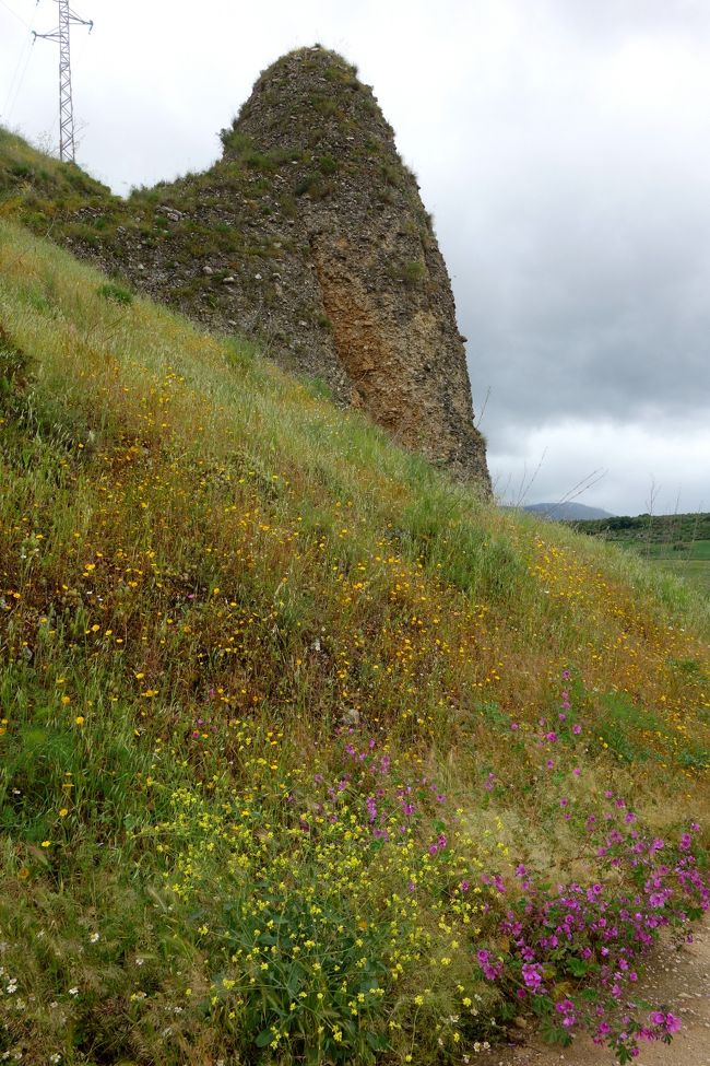 アリ塚のような岩の周りは一面お花畑。