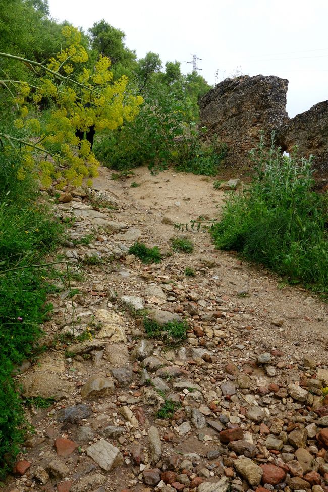 帰りはちょこちょこ休憩しながらロンダの旧市街へと戻る。途中小雨もぱらついて最悪〜。