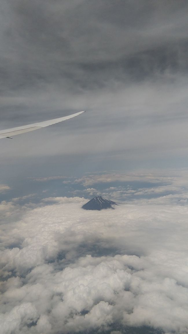 関東が梅雨入りした翌日。<br />雲の中から富士山が。まだ雪があるんですね。<br />快適なフライトで南ぬ島　石垣空港に着陸。