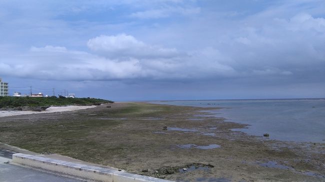 空港から近場のビーチに直行。<br />でも・・・干潮でこのありさま（涙）<br />ここは白保海岸。