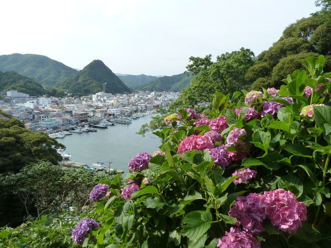 あじさいの先に下田の駅や街並みが見えます。