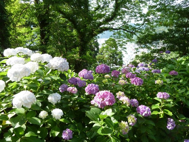 密集しております。