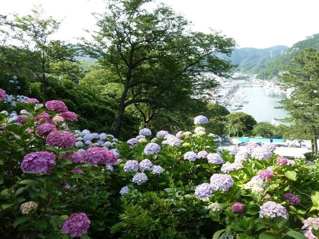 向こうは川です。