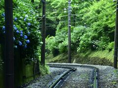 箱根湯本駅で箱根登山電車の「あじさい電車」に乗り換えて、箱根の山を登って行きます
箱根湯本駅を出発すると、車窓には早速この時期限定の素敵な紫陽花色が綺麗に彩っていましたねｗ