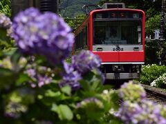 線路沿いを進んでいきますので、箱根登山電車の列車と絡めた素敵な紫陽花風景をたくさん見つけることが出来ましたねｗ
う〜ん、これは鉄っちゃんにとっても嬉しい〜！o(^▽^)o