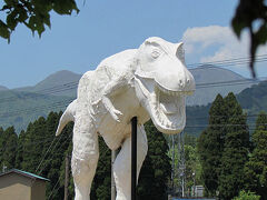 ようやく到着。
ただ入口の少し手前から、すごい渋滞。
けっこうな人気スポットだったんですね。
渋滞に耐えきれず、バイクをおいてひたすらてくてく。
見えてはいるのだけど、けっこう遠かった。

まず最初に出迎えてくれるホワイティ。
こんにちは。よろしくね。