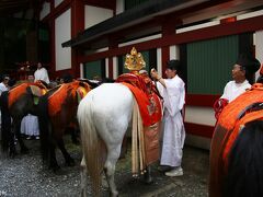 日本橋日枝神社（摂社）　１４：００頃

休憩中の神馬。
暑い中、馬も大変でしょうね。