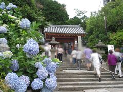 バス停から坂道を登って、矢田寺の山門へ
到着しました。
日曜日の今日は、参道も賑わっていて
色んなお店もありました。

そして、入り口から紫陽花が迎えてくれます。