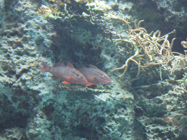 なんか仲良さそう♪