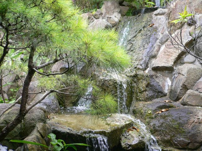 やっとジンベイザメから母を引き離し、昼食予定、「大家(ウフヤー)」へ。<br />裏は庭園っぽくなっています。