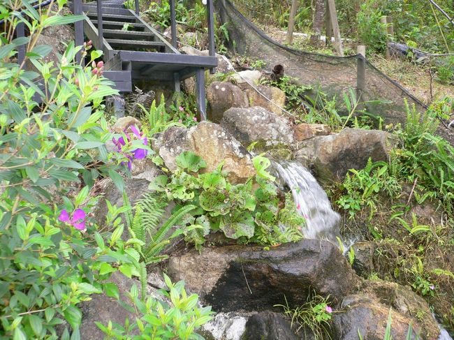 庭園に川も流れています<br />