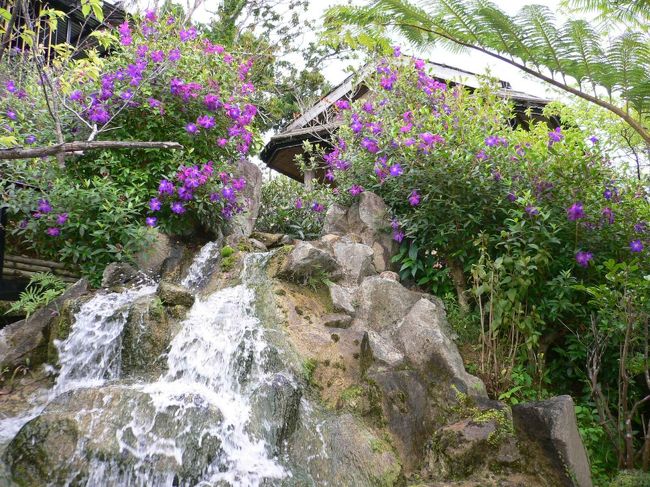 母はもうちょっとゆっくりしたかったみたいですが、一応DFSもかすりたいし、また車でひた走る。国道はかなり渋滞していてレンタカーの返却時間も気になったので、高速へ→ちょっと急ぎ足の旅でした。母と一緒なのだからもう少しゆったり予定を組んだほうがよかったかも。今度は2泊で来てみます。