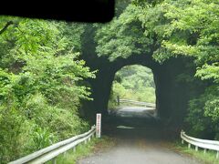 1138 文殊仙寺を出発，山を下りる．このトンネルは通らず，右に下る