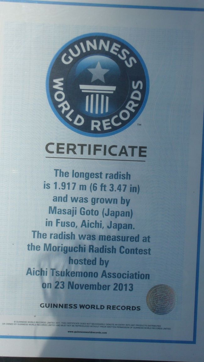 ギネス記録の世界一長いラディッシュ（大根）ってことか？<br />で、それを漬物にしたのがこの店だからこれが飾ってあるのかな。<br />