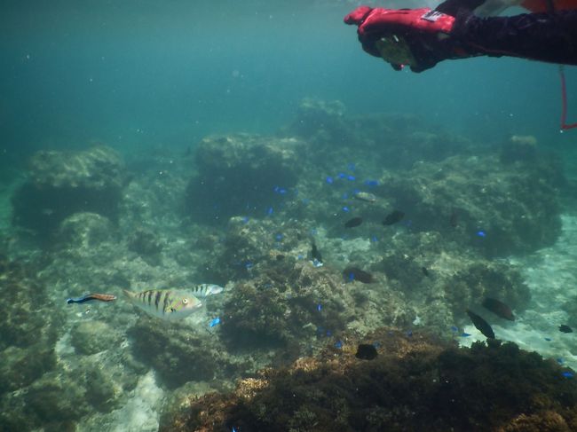 きれい〜<br />夢中でシャッターを押す私。