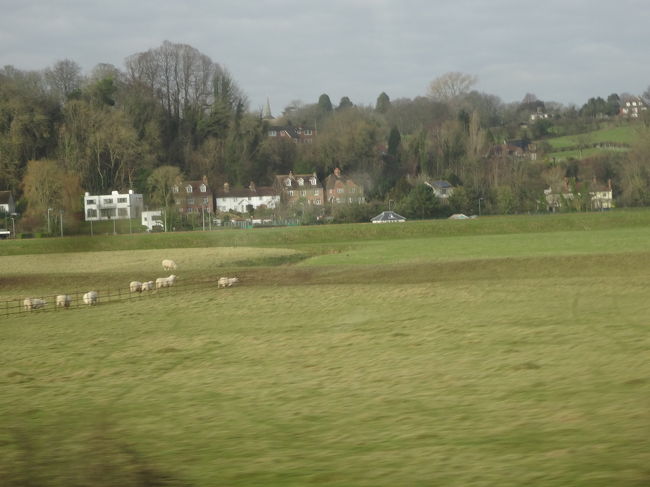 電車からの風景☆<br /><br />羊かな？？