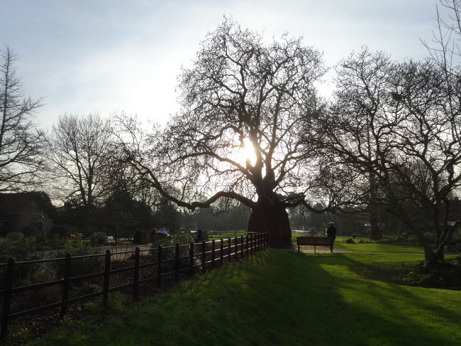 駅へ帰る途中の公園で。