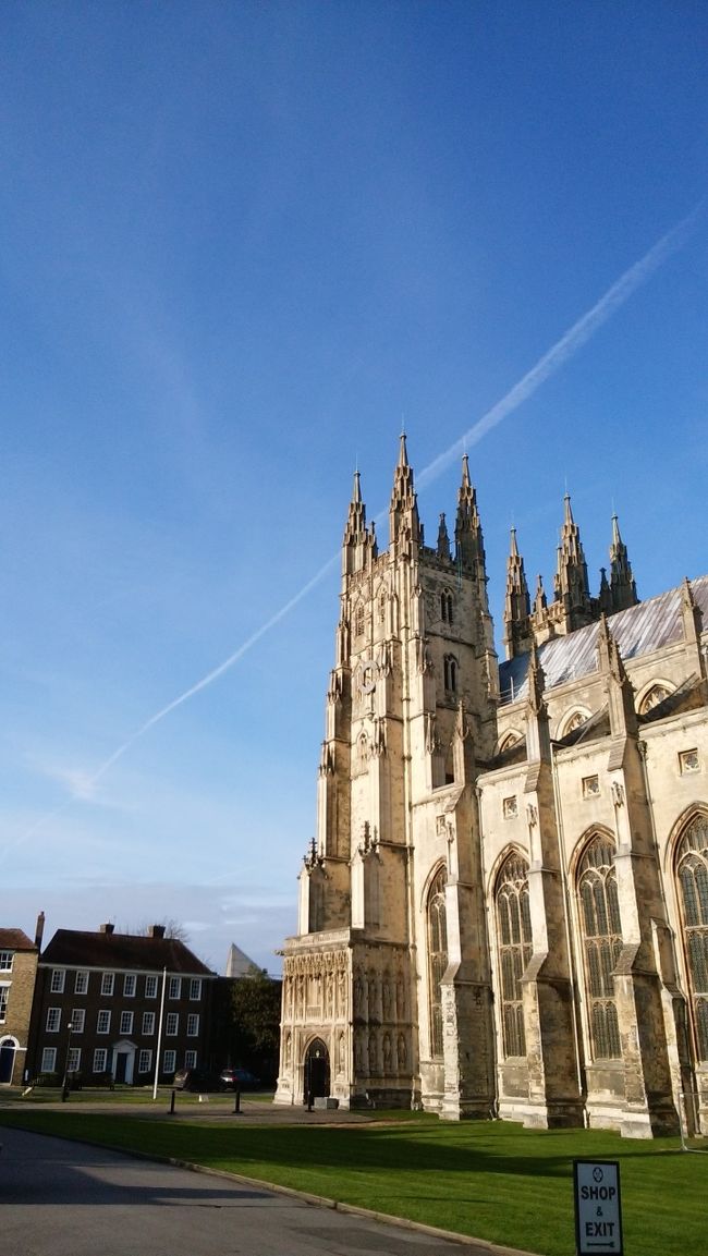 この写真、お気に入りです。