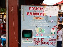 原付で少し移動し、続いて訪れたのは千手観音で有名なWat Plai Leam。
子供が取り囲む箱があったので近づいてみたところ、魚餌の自販機だった。