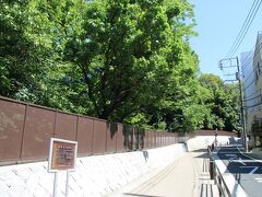 小石川植物園の東側の坂道は御殿坂と呼ばれています。
小石川植物園の敷地には将軍になる前に徳川綱吉の御殿があったこと命名されました。
小石川植物園に行く際通りましたが、結構急な坂道です。