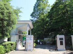 小石川植物園入口に花菖蒲の案内があったので入園してみました。