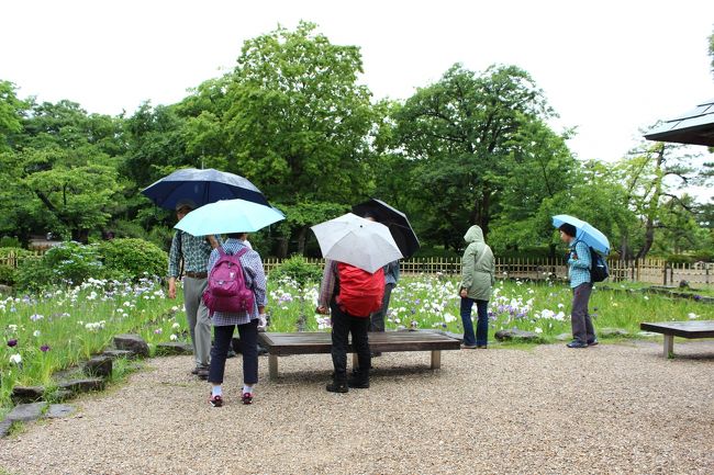 山歩会のメンバーですが、残念そうです。<br /><br />私とリーダー以外は、早々に東屋に入ってお喋りを始めました。
