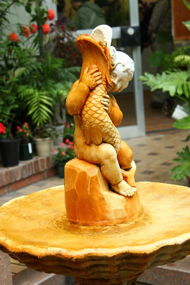 雨宿りを兼ねて、緑化センターに寄りました。<br /><br />この噴水の周りには、温室系の植物が植えられている。