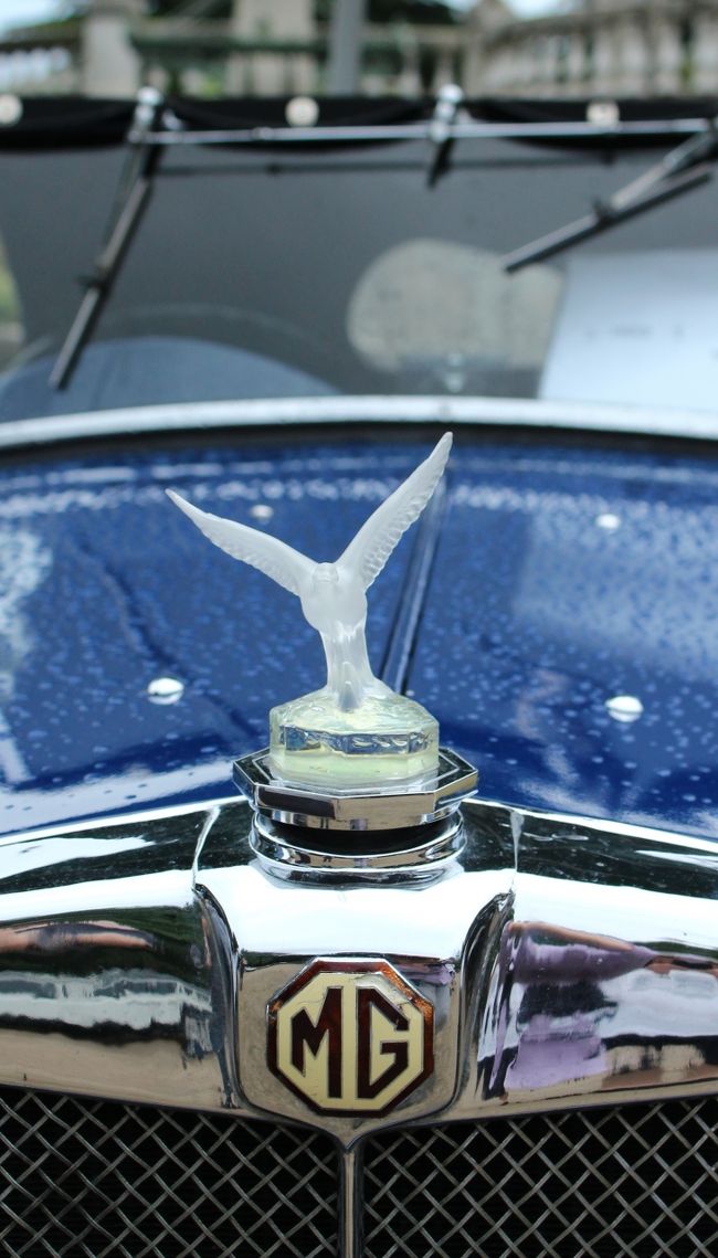 ボンネットをアップで。