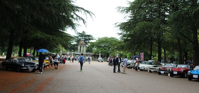 皆さん、どんどん行ってしまうので、小走りに走りながら、後ろを振り返って。