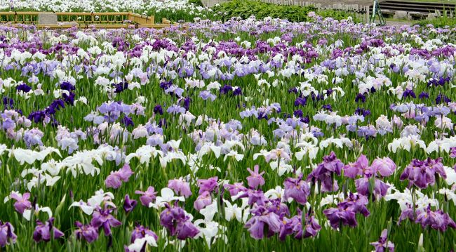 車とカメラマンさんをカットしてみたら。