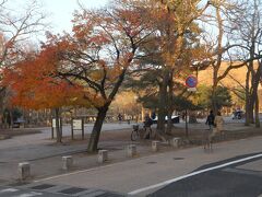 東大寺前のバス停で下車するとさっそく鹿を発見。

