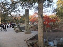 東大寺へと進んでいきます。