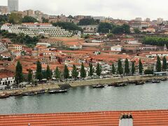 お天気が良くないのがわかりますね。真夏ですが、ずっと雨に濡れて結構なずぶ濡れになってしまい、すっごく寒かった！
ツアーは2時間ほどで離脱して（本当に結構降っていたので、途中から人数も減っていました）、一旦ホステルへ戻ってシャワーを浴びることに。
