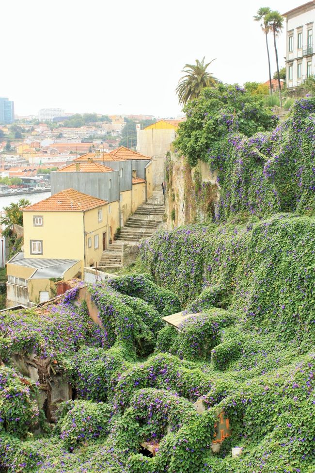 一休みして、活動を再開！お昼はタイミングを逃したので、パン屋さんでカスタードクリームの菓子パンのようなものを食べました。<br />ポルトガルの甘いものはだいたい卵黄のクリームで、どれも素朴で美味しかったです。<br /><br />こちらの写真はドウロ川を渡る手前の風景。とても綺麗なのですが、どこか退廃的な雰囲気もあります。