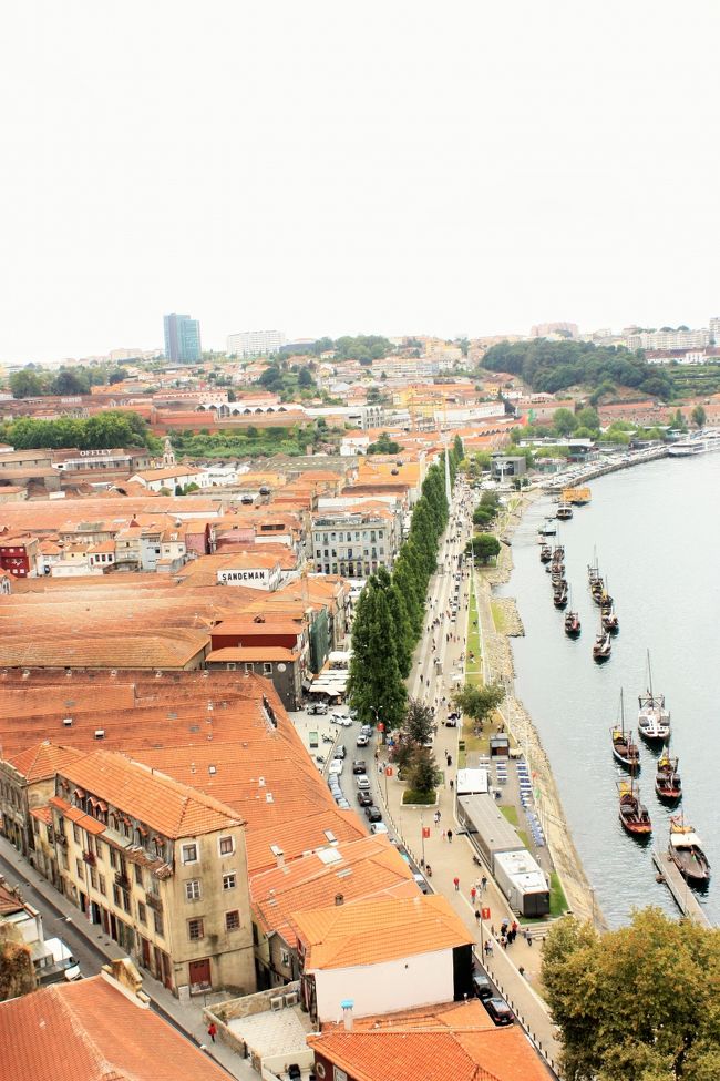 こちらはワイナリーが立ち並ぶ向かいの岸。私たちは乗りませんでしたが、橋を渡りきったところから出ているケーブルで下に降りることもできます。<br />橋は相当な高さがあるので下まで降りるのも坂が急で実は結構大変。