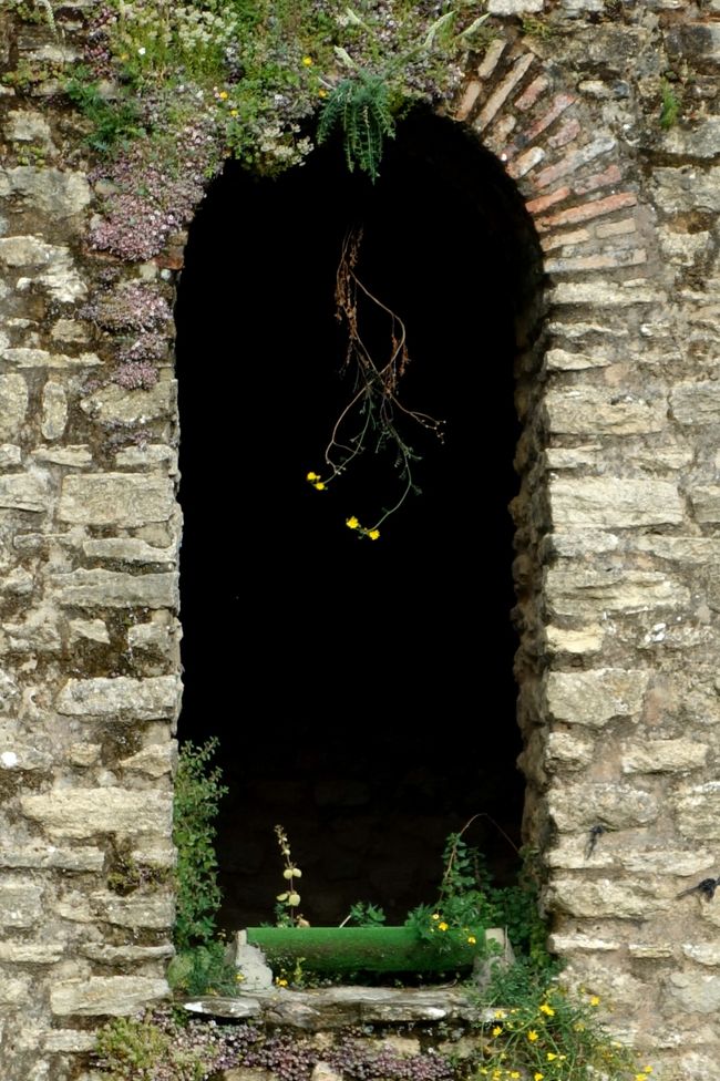 この要塞跡、ほとんど誰も歩いておらず。私一人だったらちょっと不気味かも？