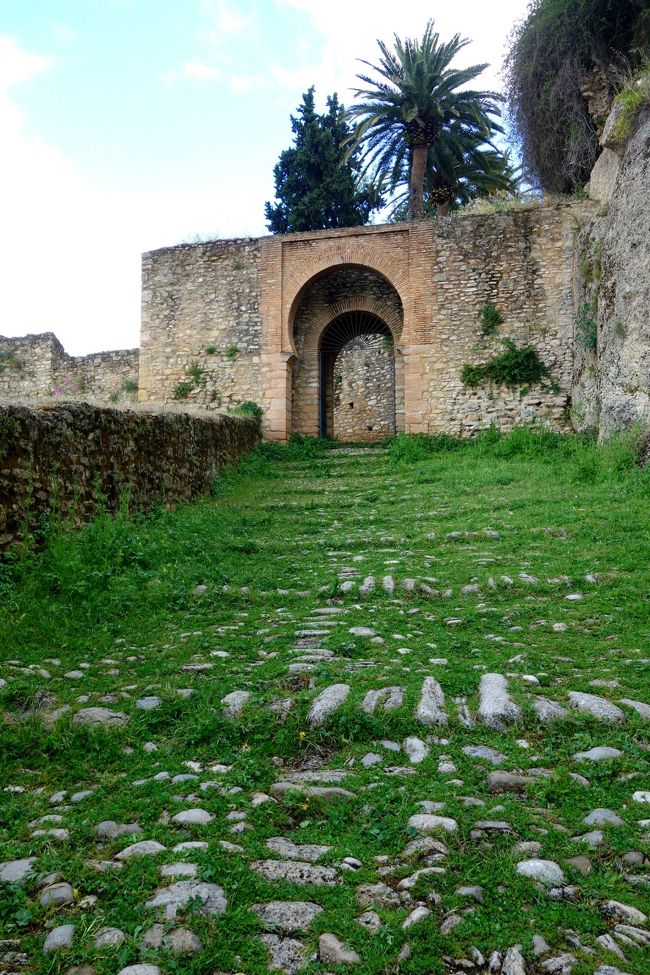今歩いてきた道。本日2度目のハイキング。<br />雨上がりなので下りは滑りやすい。ソロソロ歩く。