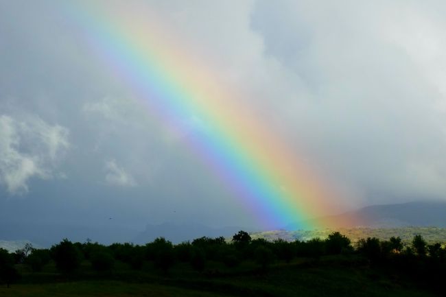 虹が先ほどより色鮮やかになってる〜。