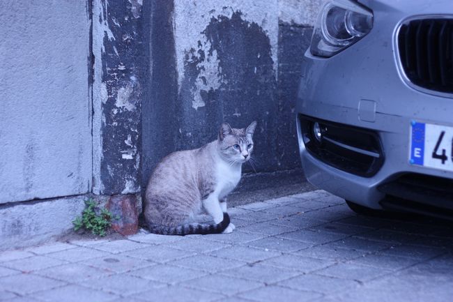 美人さんだったな〜♪