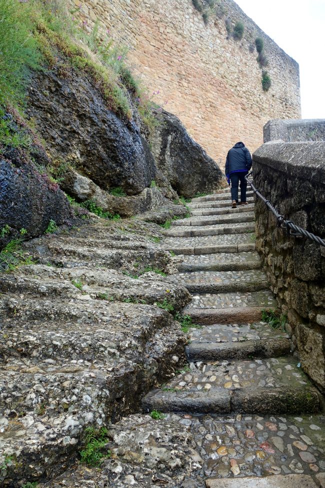 今度は上ります。結構アップダウンがきついんだよね。あ〜しんど。