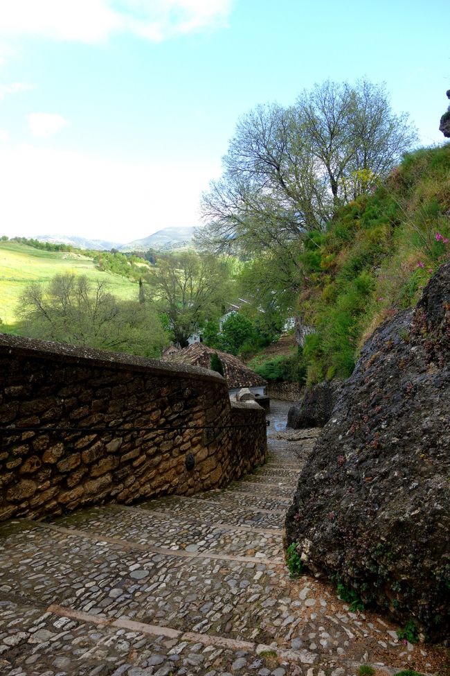 この旅、街歩きがメインだったので自然に触れ合う機会があったロンダ。<br />私の中ではお株上昇。やっぱり自然は良いな〜。