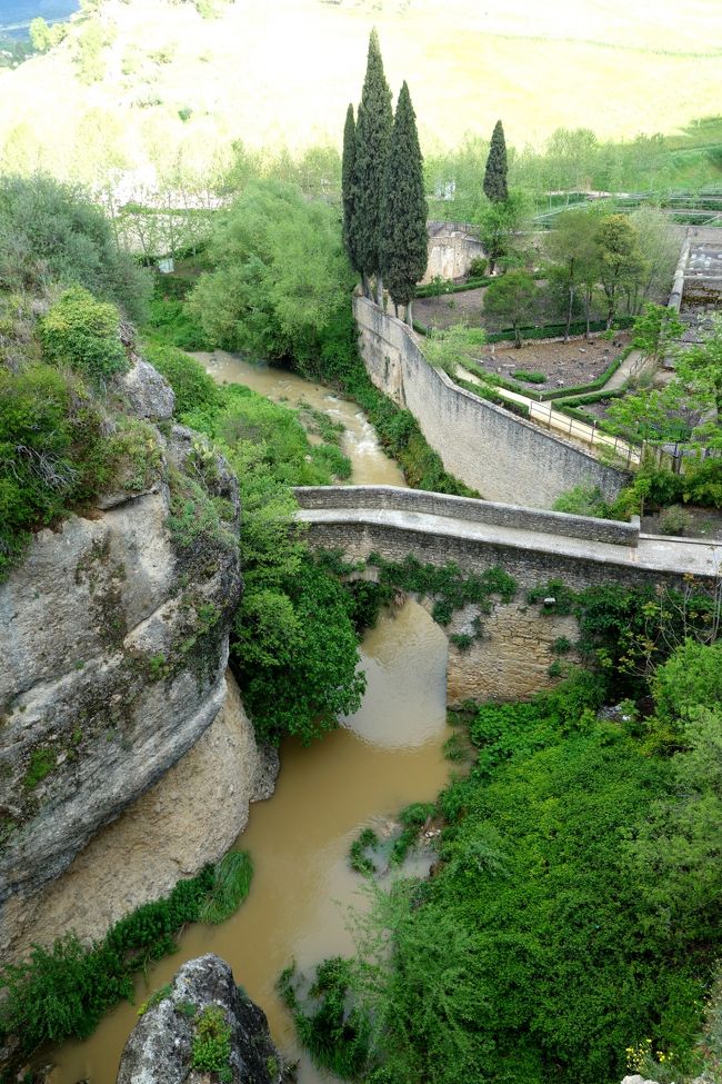 アラブ橋が眼下に見えます。